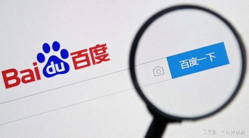 百度蜘蛛池收录:蜘蛛池出租哪家强？教你如何挑选优质蜘蛛池服务