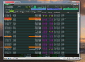 百度蜘蛛池出租:小霸王蜘蛛池密码错误困扰玩家，揭秘解决之道