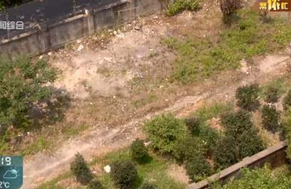 百度蜘蛛池效果:绿华池奇遇记,打完蜘蛛,箱子为何失踪? 百度蜘蛛池效果:绿华池奇遇记,打完蜘蛛,箱子为何失踪?