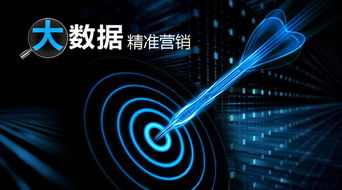 百度蜘蛛池收录:揭秘蜘蛛池分，如何打造高效的网络营销利器