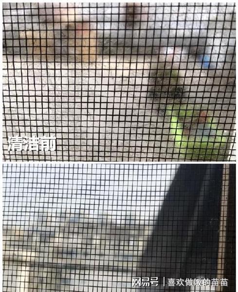 百度蜘蛛池引流:池砖上有蜘蛛，如何轻松清理？