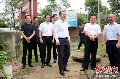 百度蜘蛛池租用:揭秘陈默蜘蛛池，神奇的网络生态圈