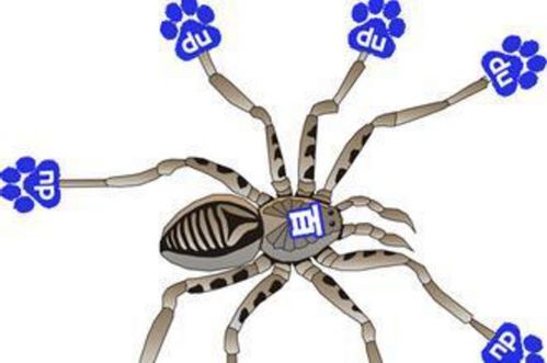 百度蜘蛛池效果:蜘蛛池一个阿克多少钱？揭秘蜘蛛池价格之谜