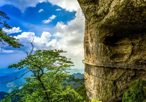 百度蜘蛛池效果:千丈云蜘蛛池，神秘古池的奇幻传说与自然奇观