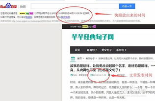 百度蜘蛛池租用:做百度蜘蛛池的注意事项，高效优化与风险规避指南