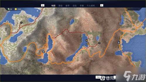 百度蜘蛛池价格:荒野哥造蜘蛛池，一场与自然的深度对话