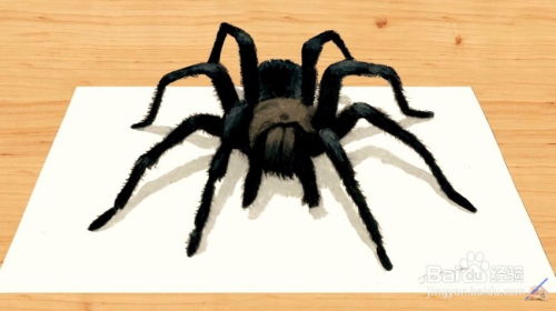 百度蜘蛛池租用:揭秘养蜘蛛池,探索新型生态养殖的奥秘 百度蜘蛛池租用:揭秘养蜘蛛池,探索新型生态养殖的奥秘