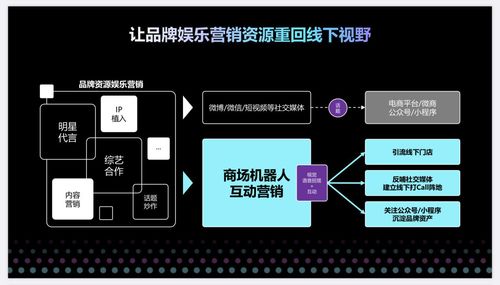 百度蜘蛛池效果:揭秘蜘蛛池原理，wd宀云速捷助力网络营销新篇章