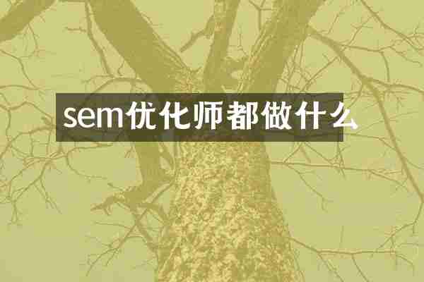 sem优化师都做什么
