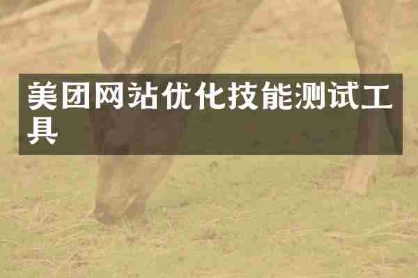 美团网站优化技能测试工具
