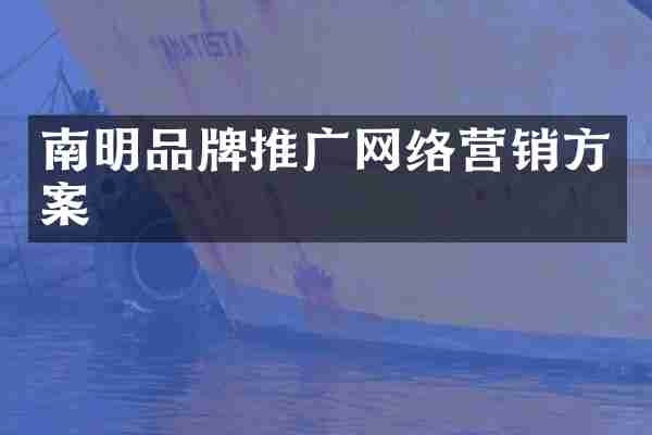 南明品牌推广网络营销方案