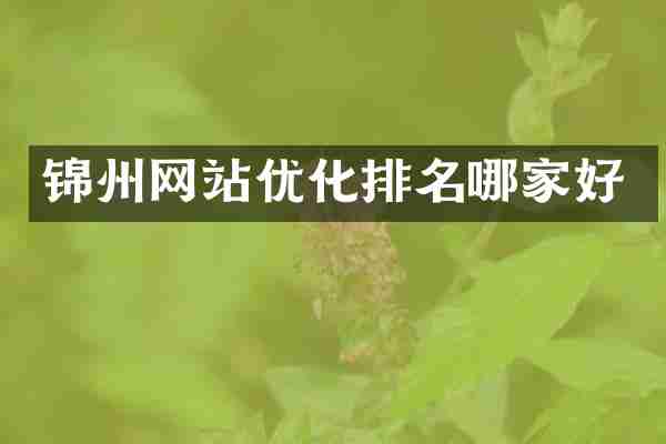 锦州网站优化排名哪家好