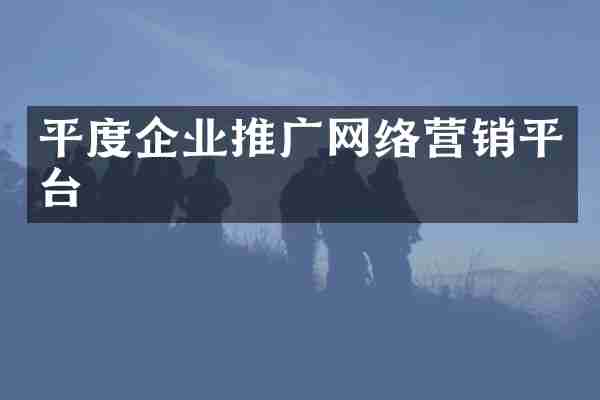 平度企业推广网络营销平台