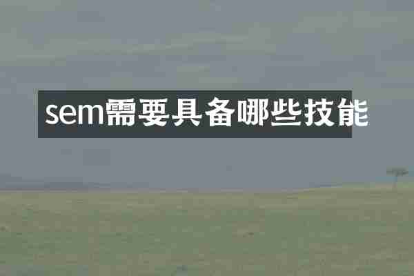 sem需要具备哪些技能