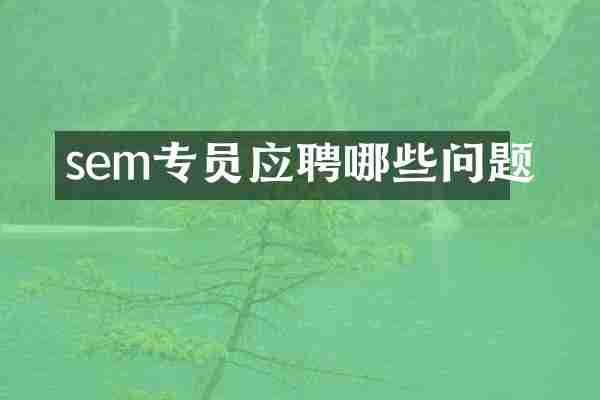 sem专员应聘哪些问题