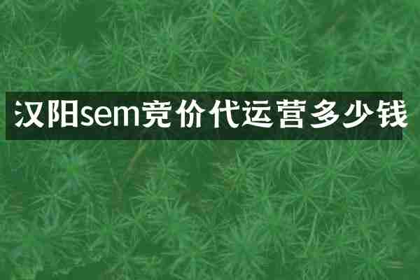 汉阳sem竞价代运营多少钱