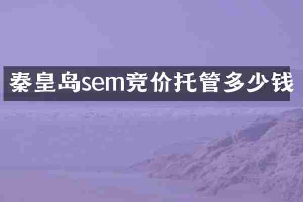 秦皇岛sem竞价托管多少钱