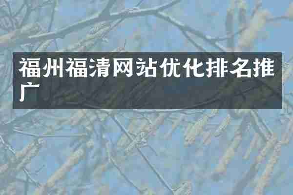 福州福清网站优化排名推广