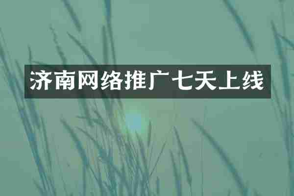 济南网络推广七天上线
