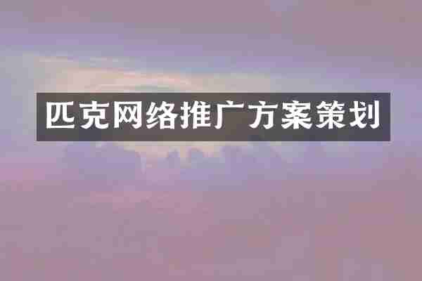 匹克网络推广方案策划