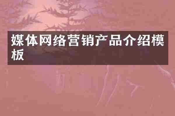 媒体网络营销产品介绍模板