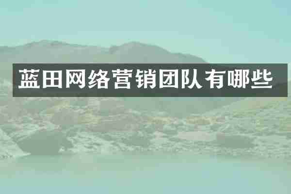 蓝田网络营销团队有哪些