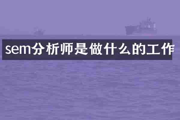 sem分析师是做什么的工作