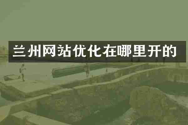 兰州网站优化在哪里开的