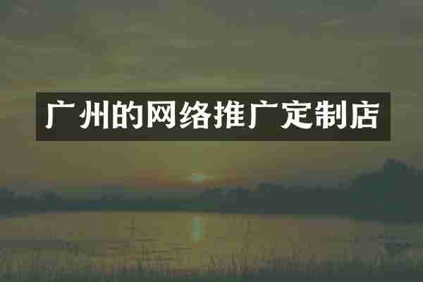 广州的网络推广定制店