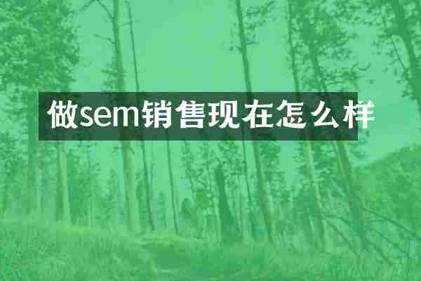 做sem销售现在怎么样