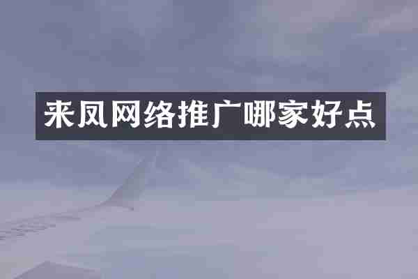 来凤网络推广哪家好点