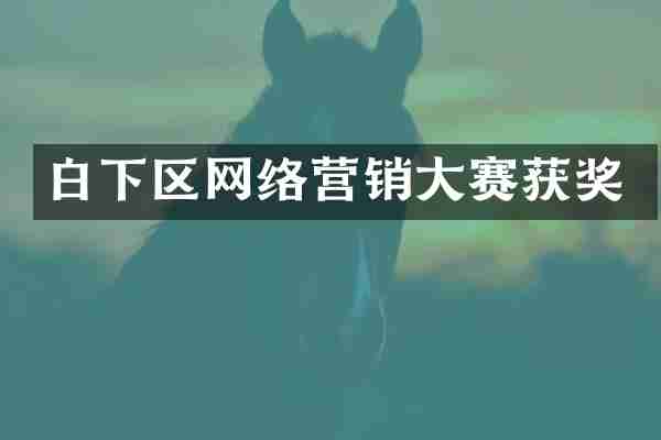 白下区网络营销大赛获奖