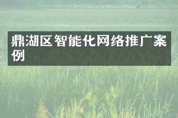 鼎湖区智能化网络推广案例