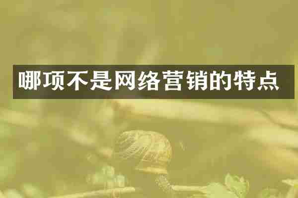 哪项不是网络营销的特点