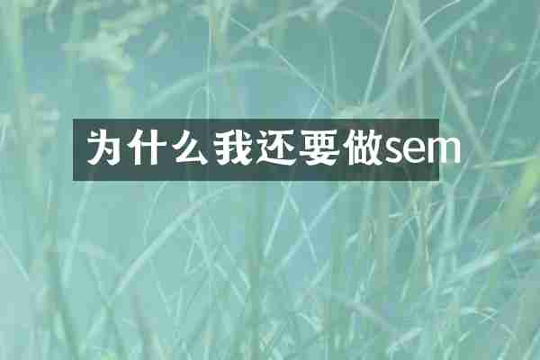为什么我还要做sem