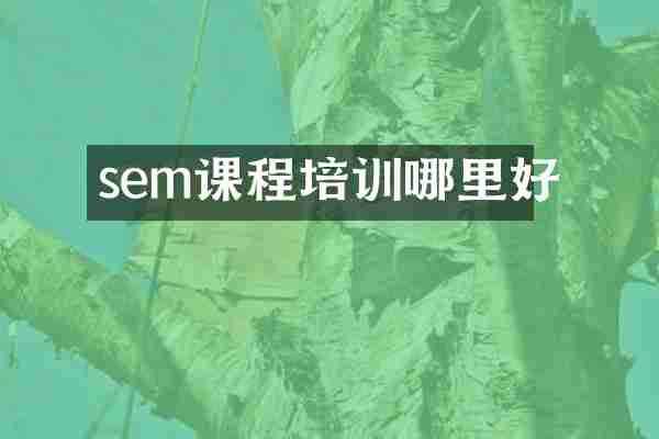 sem课程培训哪里好