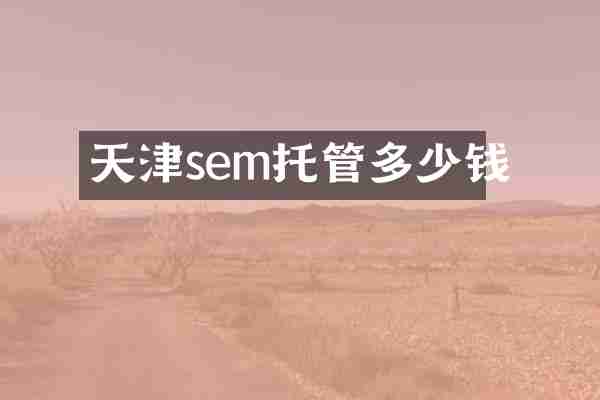 天津sem托管多少钱