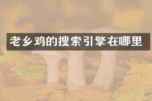 老乡鸡的搜索引擎在哪里
