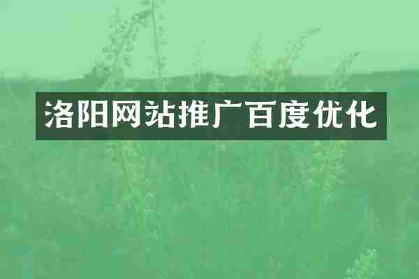 洛阳网站推广百度优化