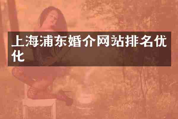 上海浦东婚介网站排名优化