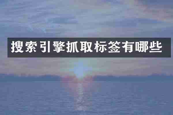 搜索引擎抓取标签有哪些