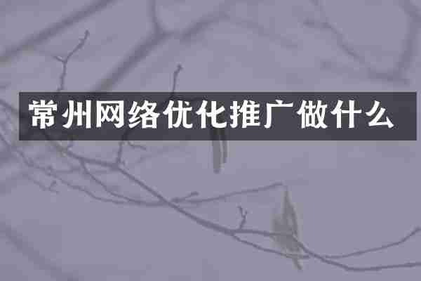 常州网络优化推广做什么