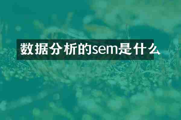 数据分析的sem是什么