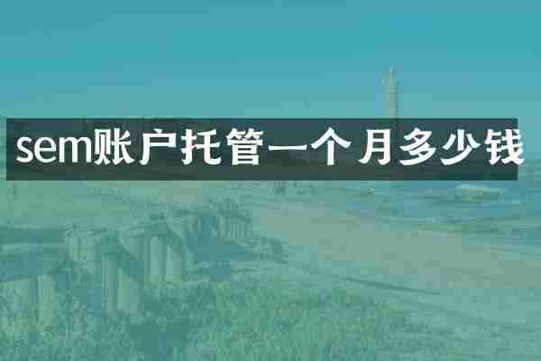 sem账户托管一个月多少钱