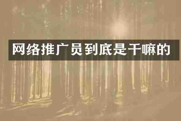 网络推广员到底是干嘛的
