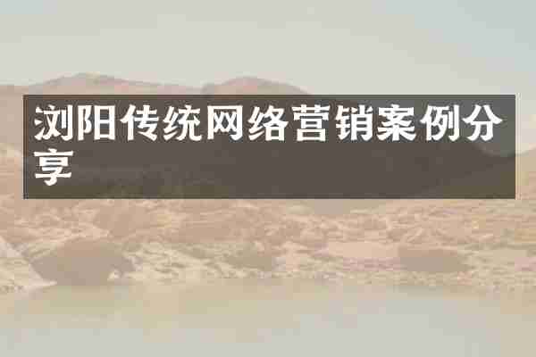 浏阳传统网络营销案例分享