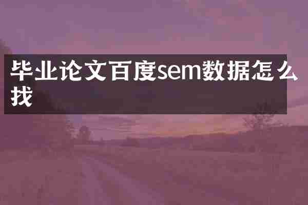 毕业论文百度sem数据怎么找