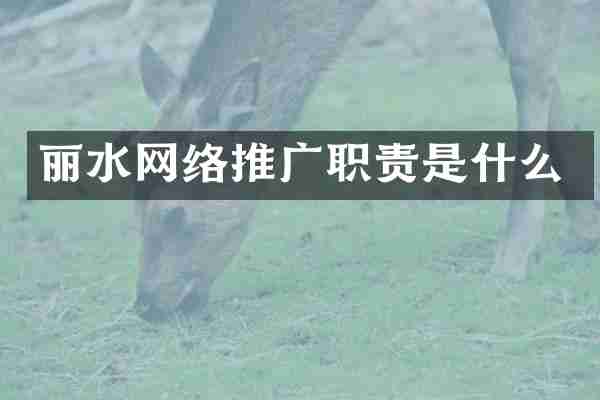丽水网络推广职责是什么