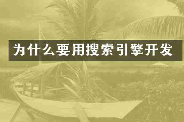为什么要用搜索引擎开发