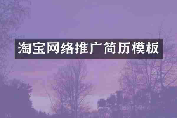 淘宝网络推广简历模板